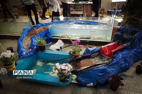 یازدهمین جشنواره دانشگاهی حرکت