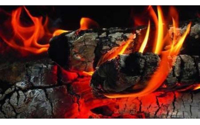 تبدیل کارگاههای تولید زغال سنتی به زغال صنعتی/ حذف روشهای سنتی و تولید گاز co در تولید زغال