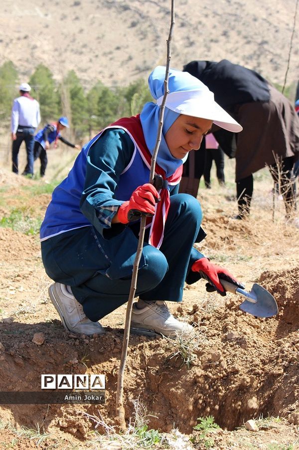 بنشانیم درخت تا طبیعت نفسی تازه کند