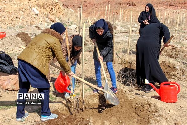 مراسم درختکاری شهرداران مدارس تبریز در تفرجگاه عون بن علی