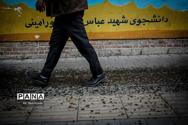 نقش شهدا بر دیوارهای شهر