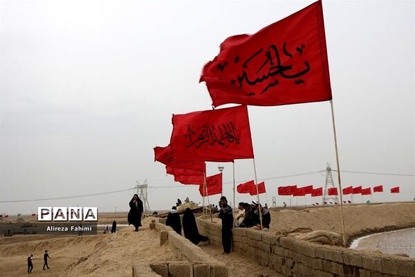 ستارگان جاوید