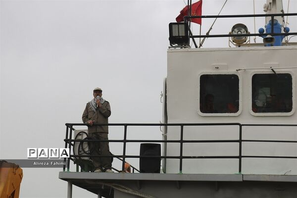 ستارگان جاوید