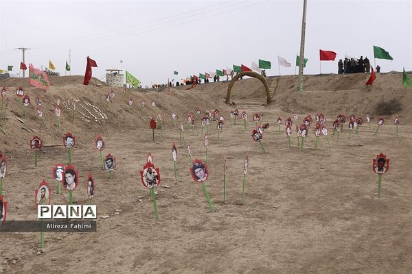 ستارگان جاوید