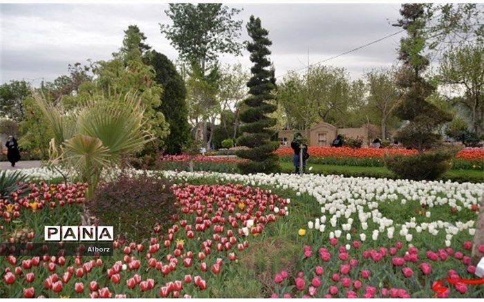 بخشی از جاذبه های البرز برای گردشگران ناشناخته است