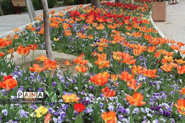 پارک لاله تهران در بهار طبیعت