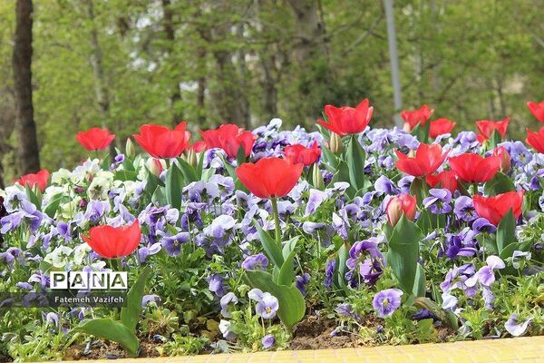 پارک لاله تهران در بهار طبیعت