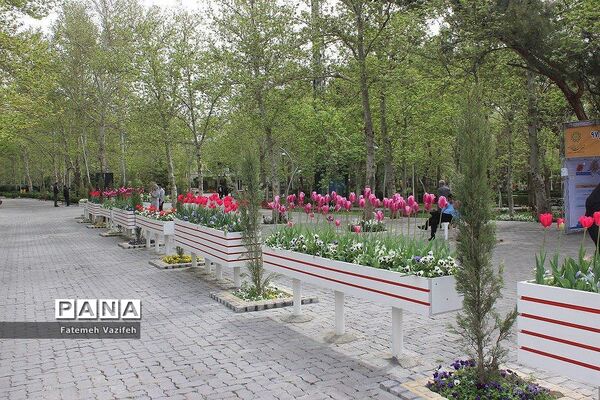 پارک لاله تهران در بهار طبیعت