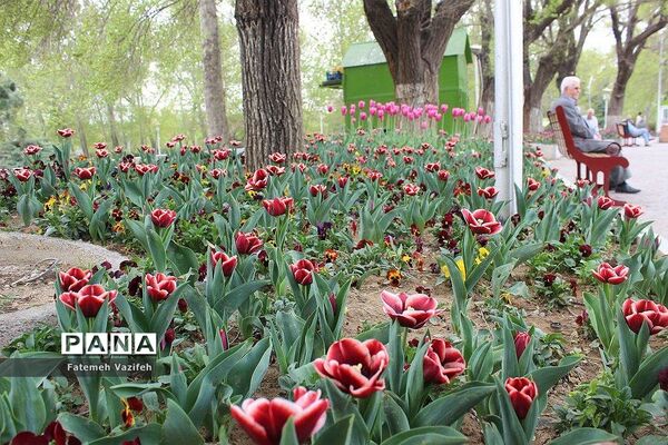 پارک لاله تهران در بهار طبیعت