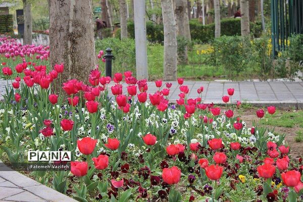 پارک لاله تهران در بهار طبیعت