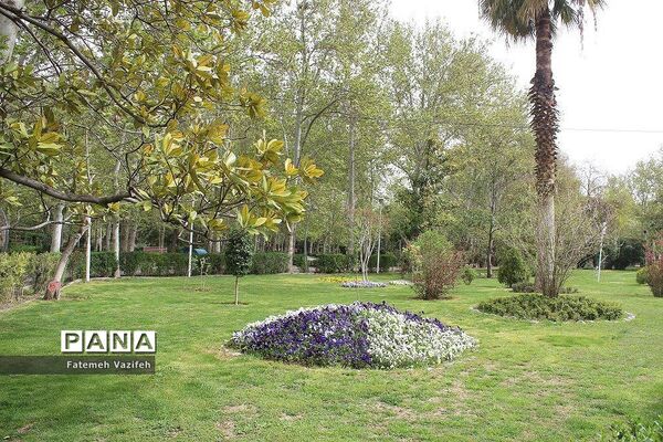 پارک لاله تهران در بهار طبیعت