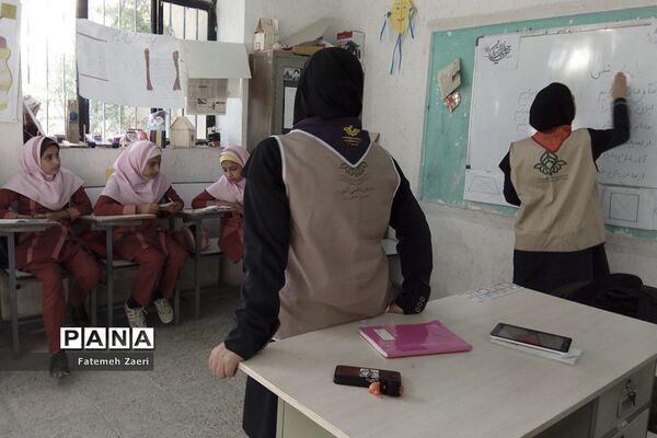 برگزاری دوره آموزشی تشکیلات دانش آموزی در لامردفارس
