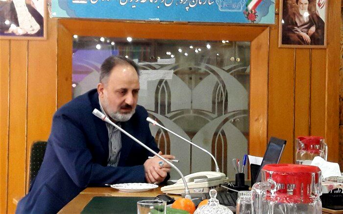 معاون توسعه منابع و پشتیبانی سازمان پژوهش: استقرار نظام آموزشی 3-3-6 سال آینده کامل می‌شود