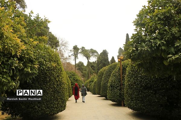 باغ ارم شیراز