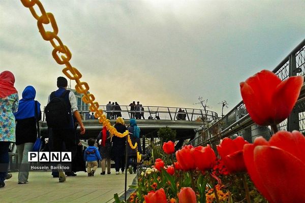پل طبیعت تهران در نوروز