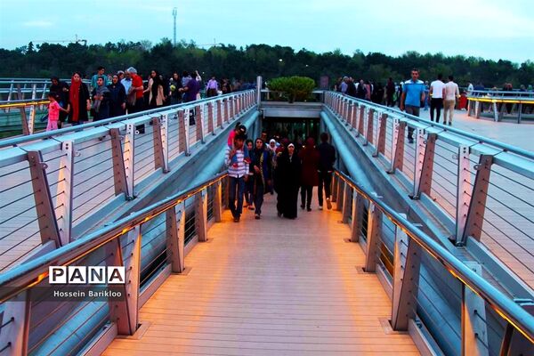 پل طبیعت تهران در نوروز