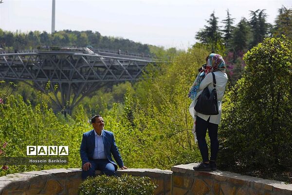 پل طبیعت تهران در نوروز