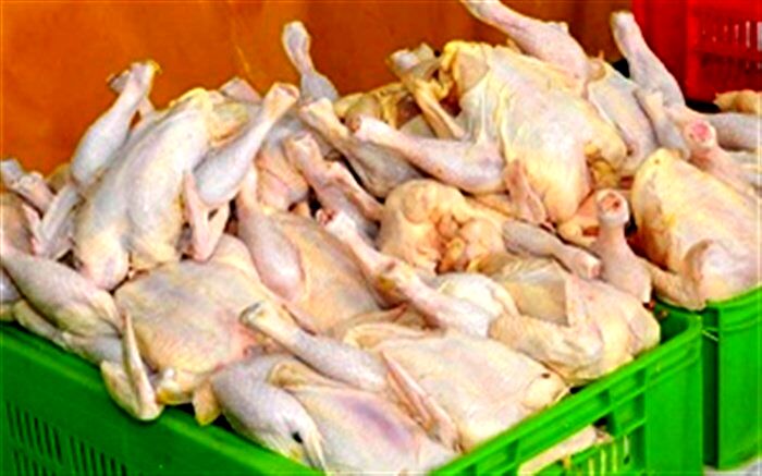 استان اردبیل ۸ درصد گوشت مرغی کشور را تولید می‌کند