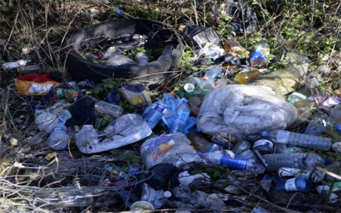 اجرای  طرح پاکسازی طبیعت در شهریار