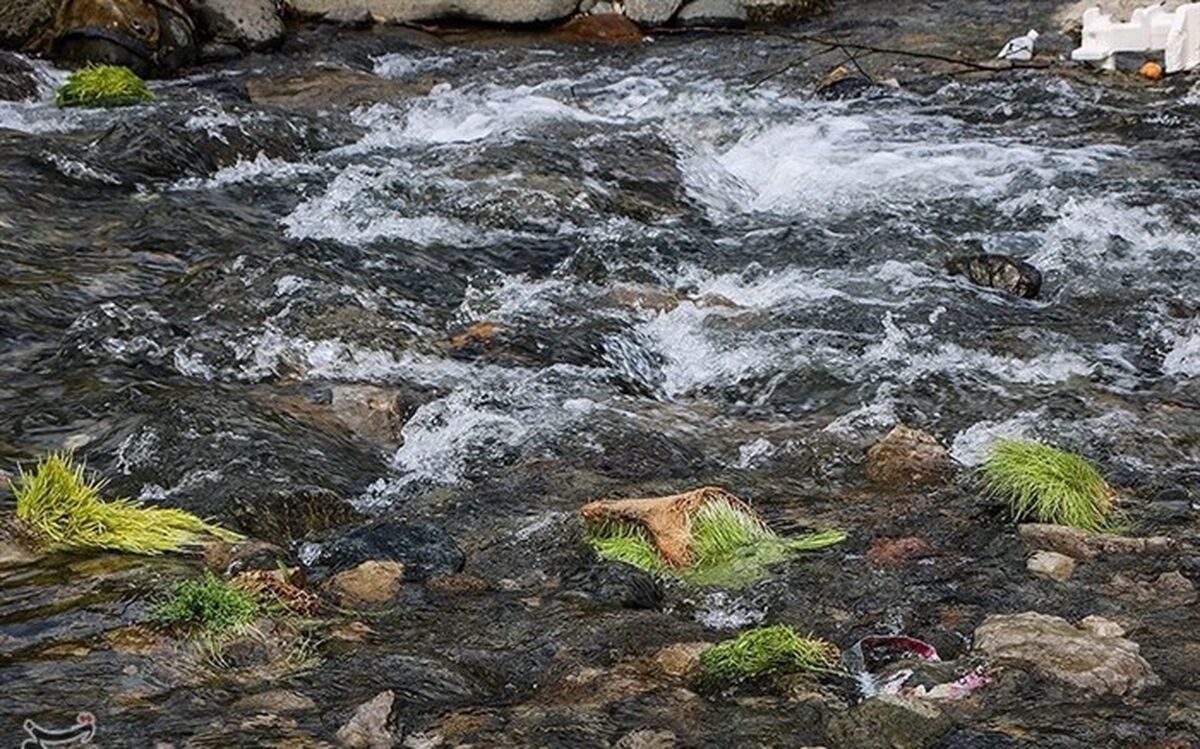 تصاویر/ یادگارهای خجالت‌آور روز طبیعت در گیلان