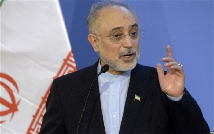 صالحی: مسئولان بلند پایه نظام اراده کنند، ضرب شصت ویژه ای برای برهم زنندگان برجام خواهیم داشت