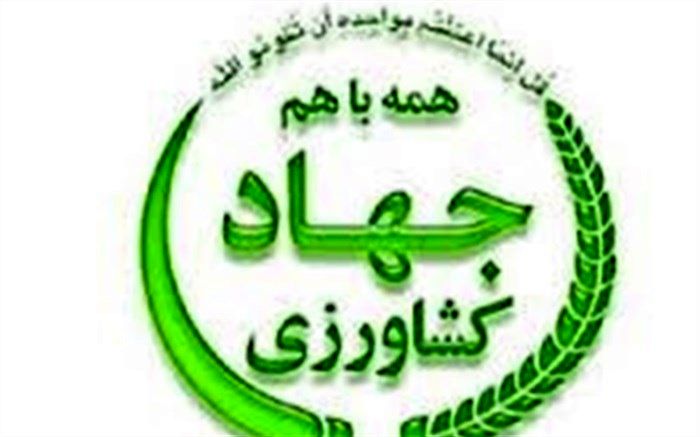 مهری رفت/ فتحی رئیس جهادکشاورزی آذربایجان‌شرقی شد