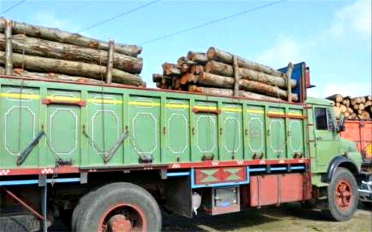 کشف 19 تن چوب جنگلی قاچاق در آمل