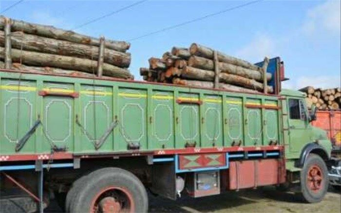 کشف 19 تن چوب جنگلی قاچاق در آمل