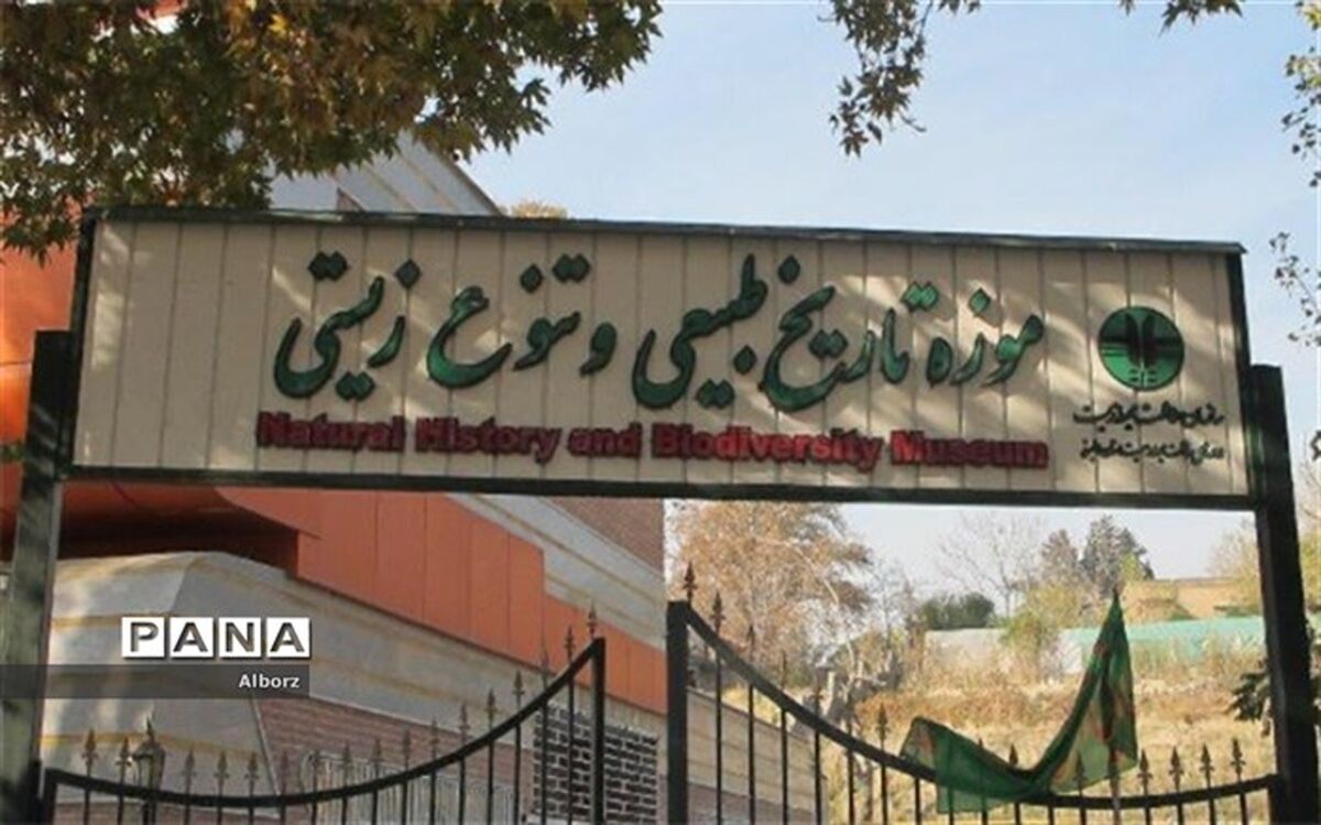 ازسرگیری مجدد بازدید دانش آموزان از موزه تاریخ طبیعی و تنوع زیستی در سال ۹۷