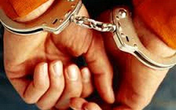 انهدام باند سارقان خانه باغ ها با ۳۰فقره سرقت در مراغه