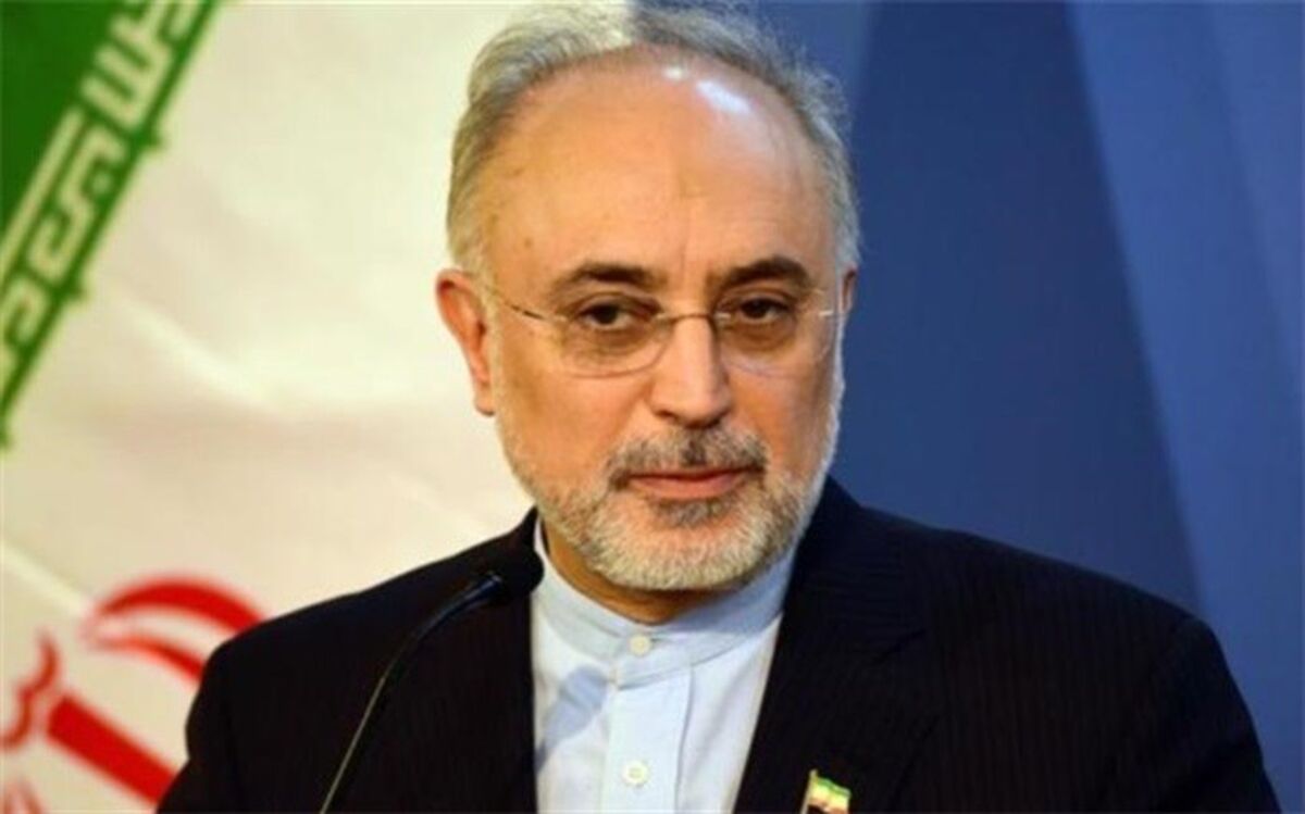 صالحی: ۴ روزه به غنی سازی ۲۰ درصد بازمی گردیم