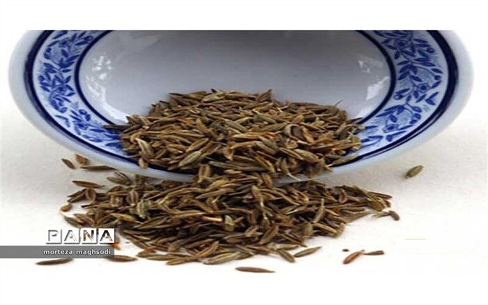 خواب سنگین متولیان امر