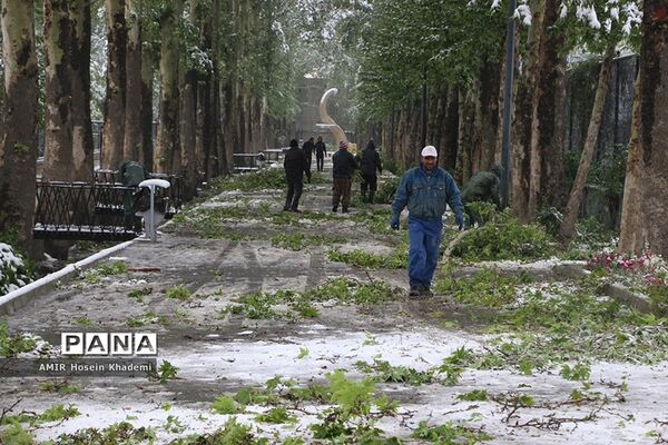برف ریزان بهاری با بارش برف زمستانی در کرج