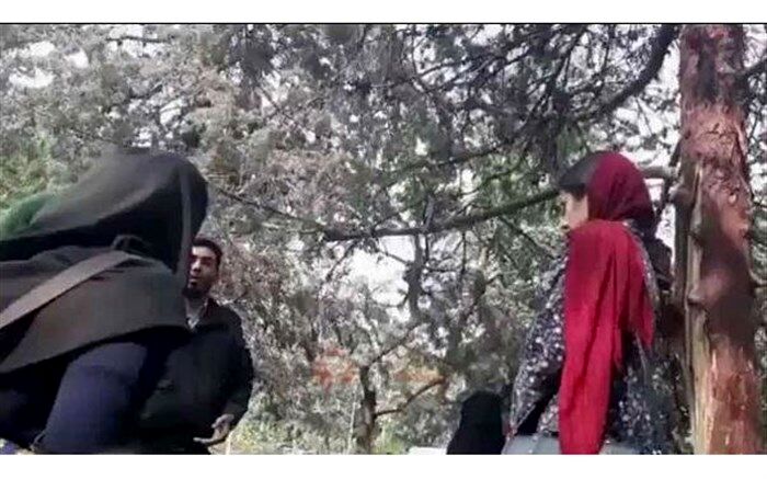 واکنش‌ها به کلیپ درگیری مأمور گشت ارشاد با دختری در پارک