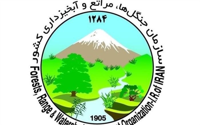 عملکرد سازمان جنگل‌ها زیر ذره‌بین مجلس