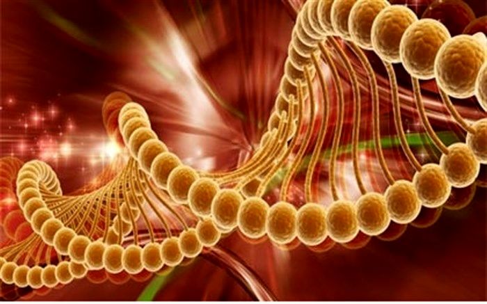 نرخ بروز سرطان در ایران پایین تر از متوسط دنیا/ وقوع سونامی سرطان در ایران، واقعیت ندارد