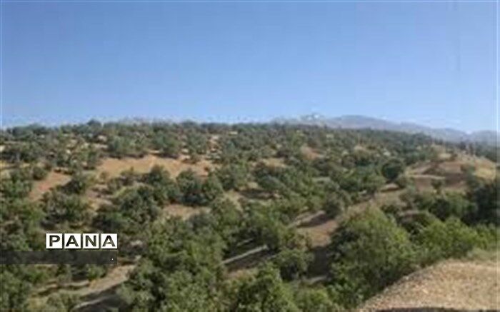 مخالفت شورای شهر و شهرداری با واگذاری پارک جنگلی یاسوج به بخش خصوصی شرکت نفت