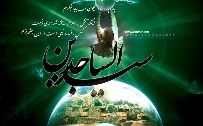 برخورد با جوانی که فحاشی می‌کرد و زنی که سر امام سجاد علیه‌السلام را شکست