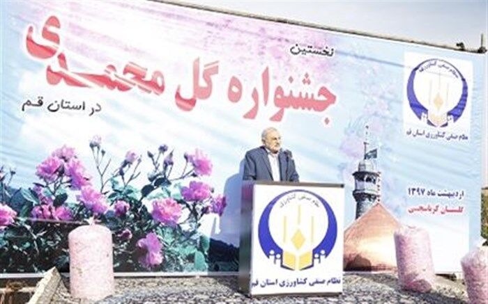 نخستین جشنواره گل محمدی در استان قم برگزار شد