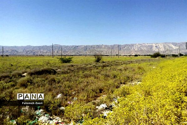 لامِرد خشک غرق در خشکسالی