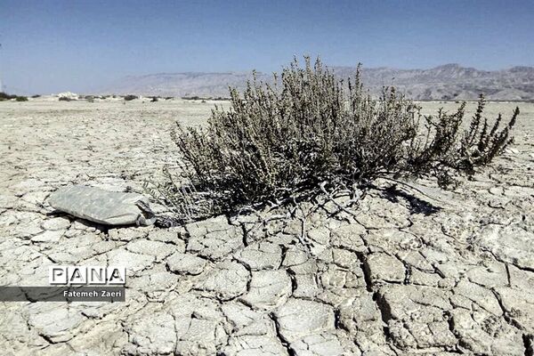 لامِرد خشک غرق در خشکسالی