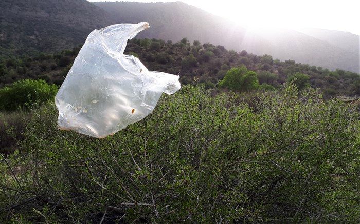 تاکید بر مشارکت و پیوستن شهروندان به پویش شیراز شهر سبز بدون پلاستیک