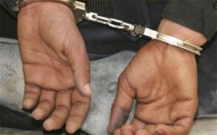زوج سارق دستگیر شدند