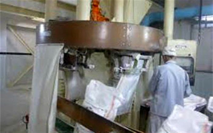 ۸ هزار تن گندم راهی کارخانجات آرد شد