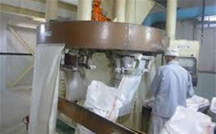 ۸ هزار تن گندم راهی کارخانجات آرد شد