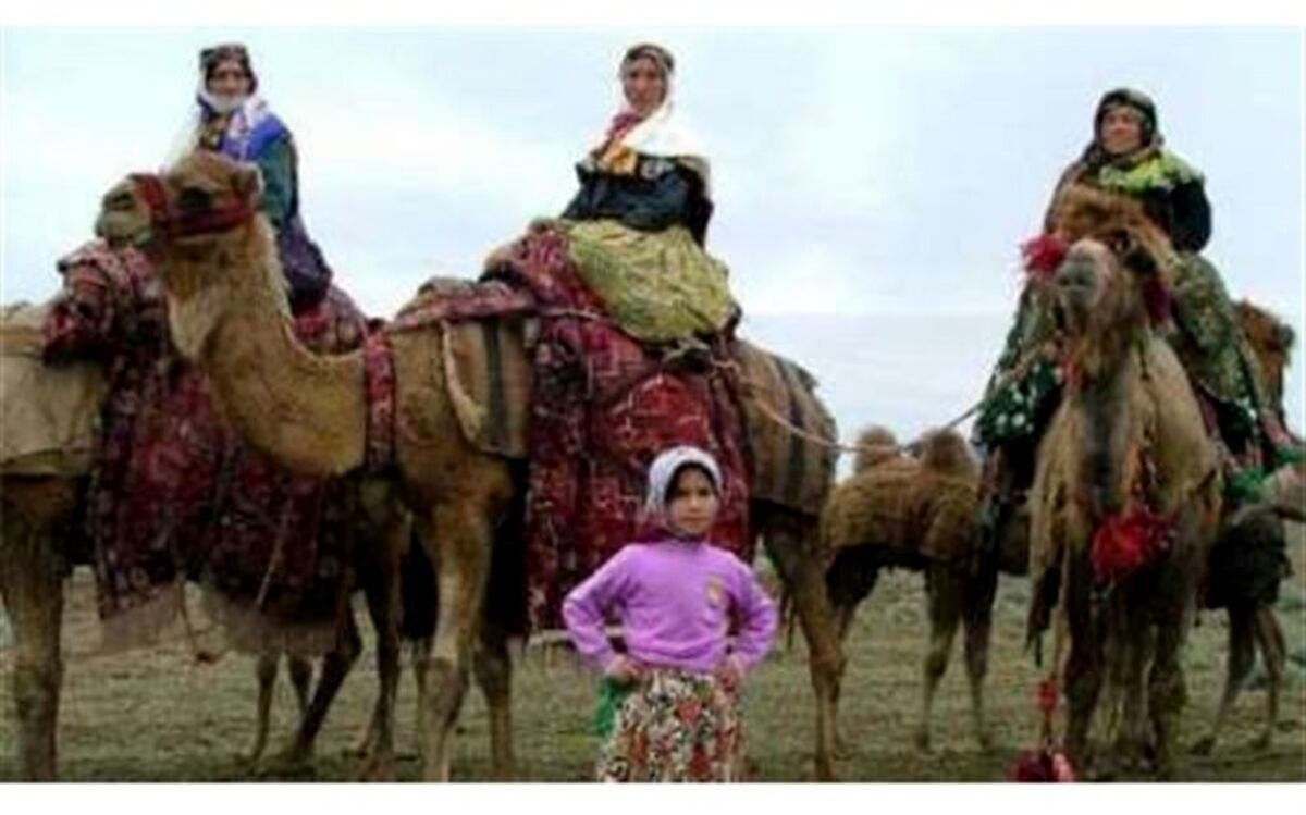 معاون امور هماهنگی عمرانی استاندار اردبیل: کوچ عشایر مغان ثبت جهانی می شود