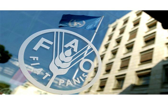 فائو خواستار افزایش کمک‌ها به آوارگان روهینگیا شد