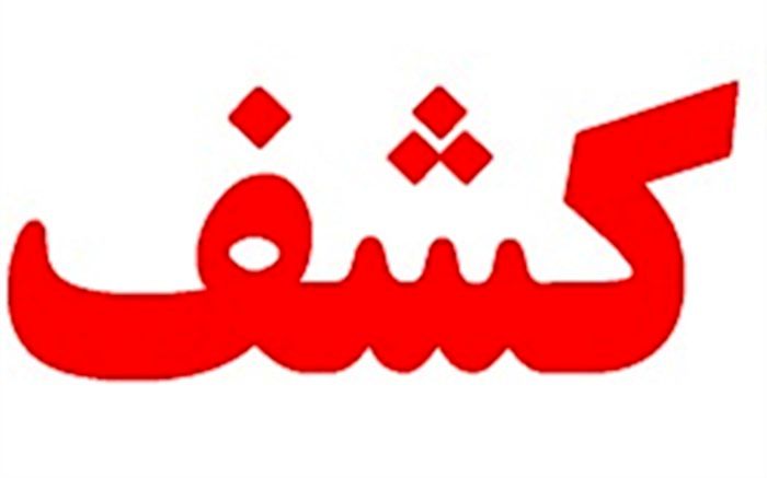 دستگیری قاچاقچی اشیای تاریخی درشهرستان دهلران