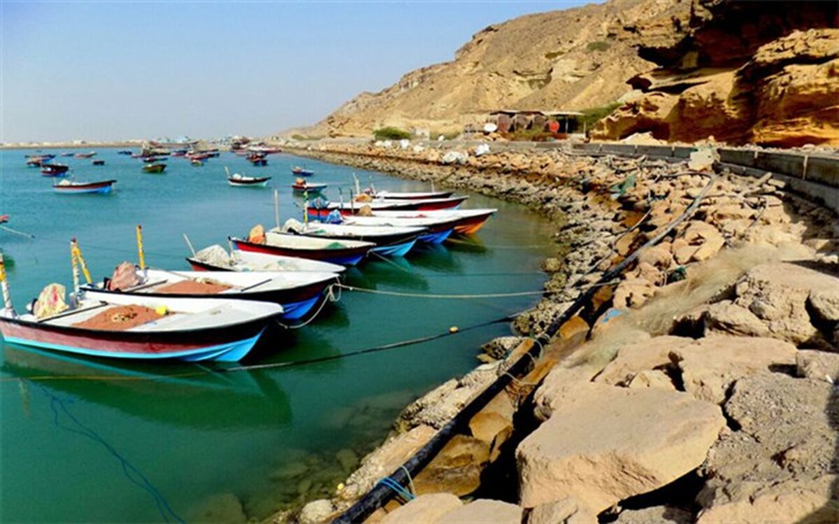 طباطبایی،استاد دانشگاه تهران:  80 درصد حجم تجارت جهانی وابسته به سواحل است