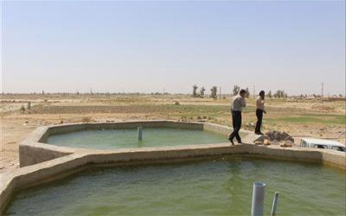تمام پرورش دهندگان ماهی استخرهای پرورشی خود را بیمه کنند